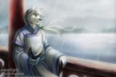 Xiao Xiang