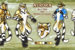aurora-s