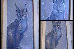acrylic-lynx