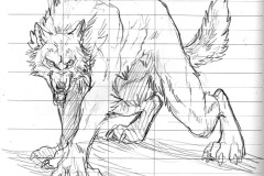 wolf22